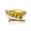 VANSON 6 x Gold Dome Head Tremolo / Bridge Screws for Stratocaster Type Guitars